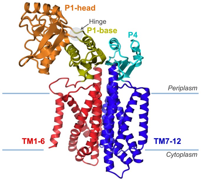 Figure 2