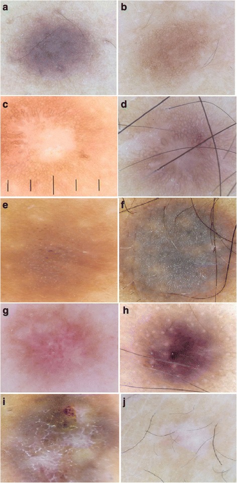 Fig. 3