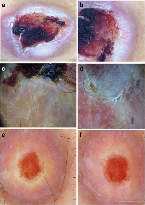 Fig. 6