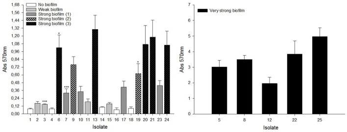 Figure 7