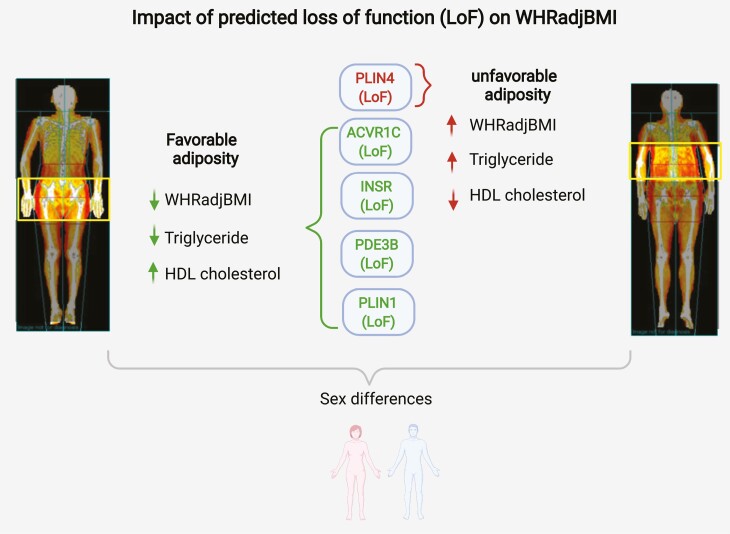 Figure 5.