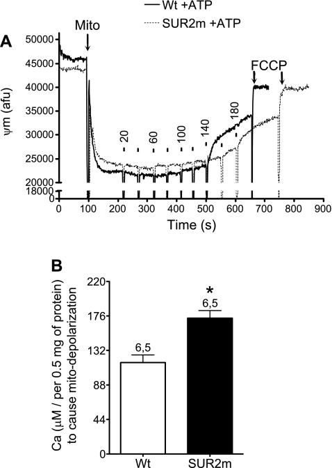 Fig. 3.