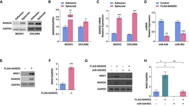 Figure 6