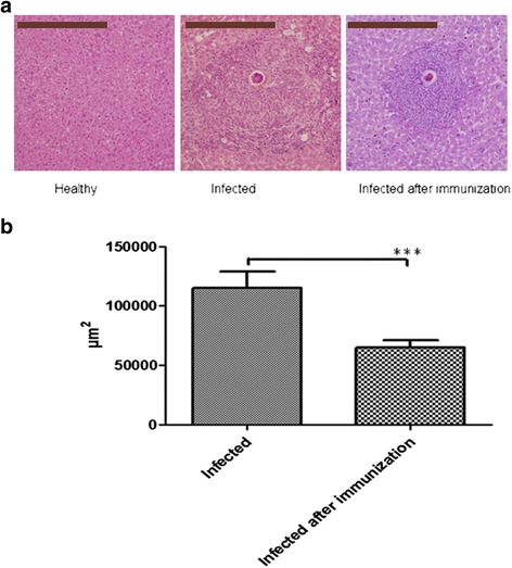 Fig. 12