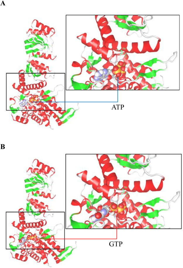 Figure 6