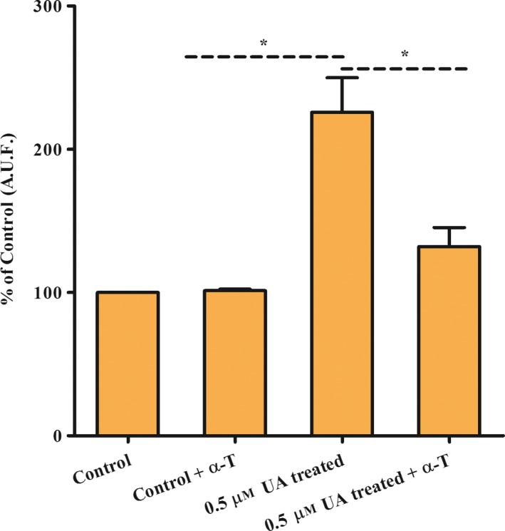 Figure 7