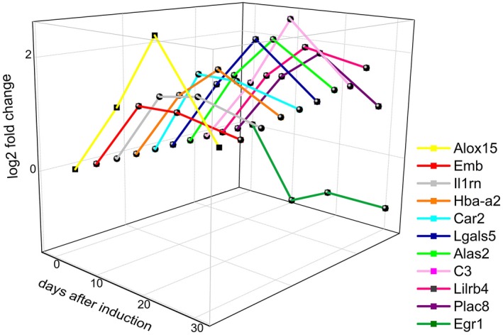 Figure 5