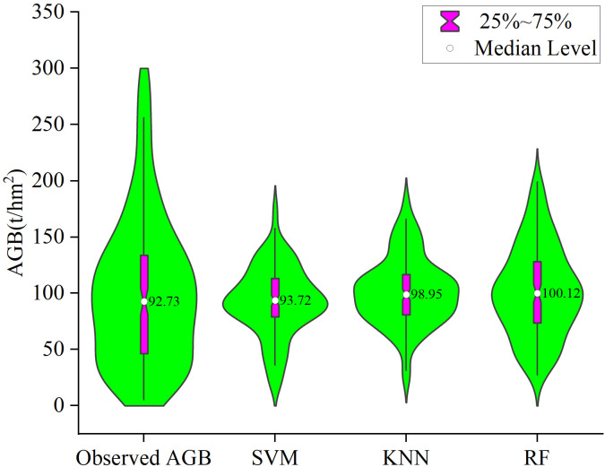 Figure 13