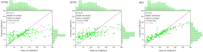 Figure 12