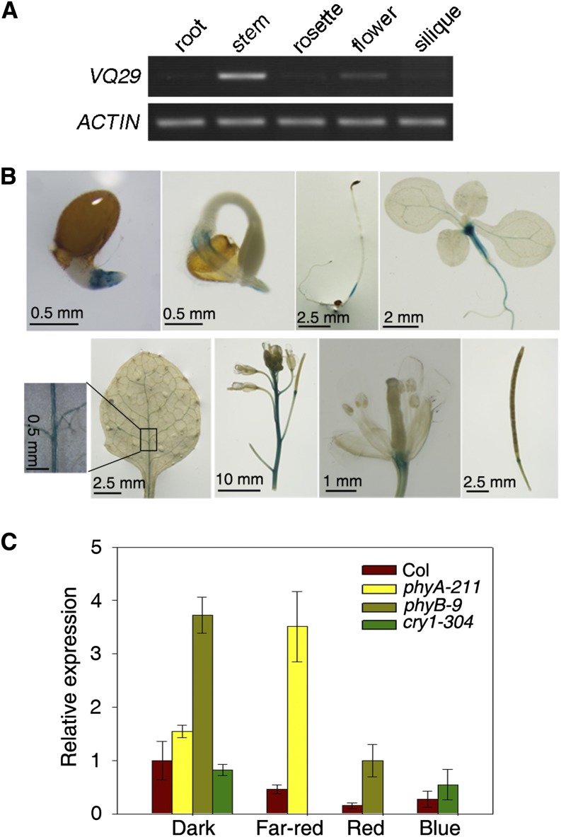 Figure 4.