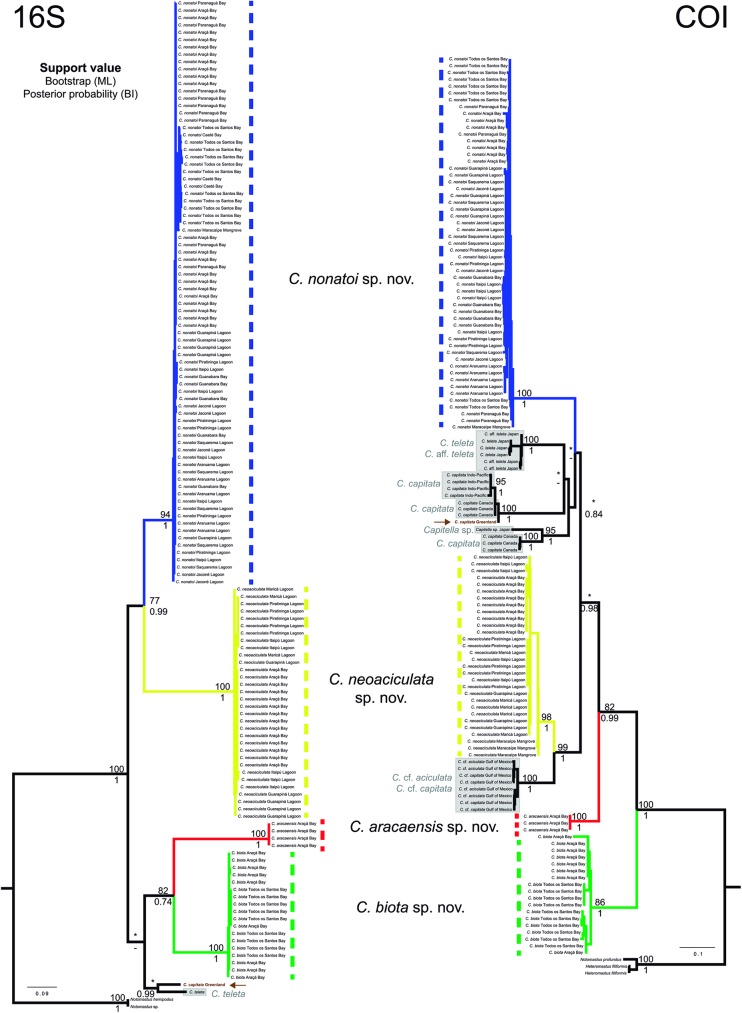 Fig 13