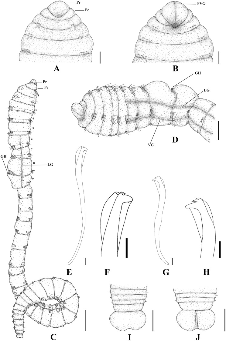 Fig 7