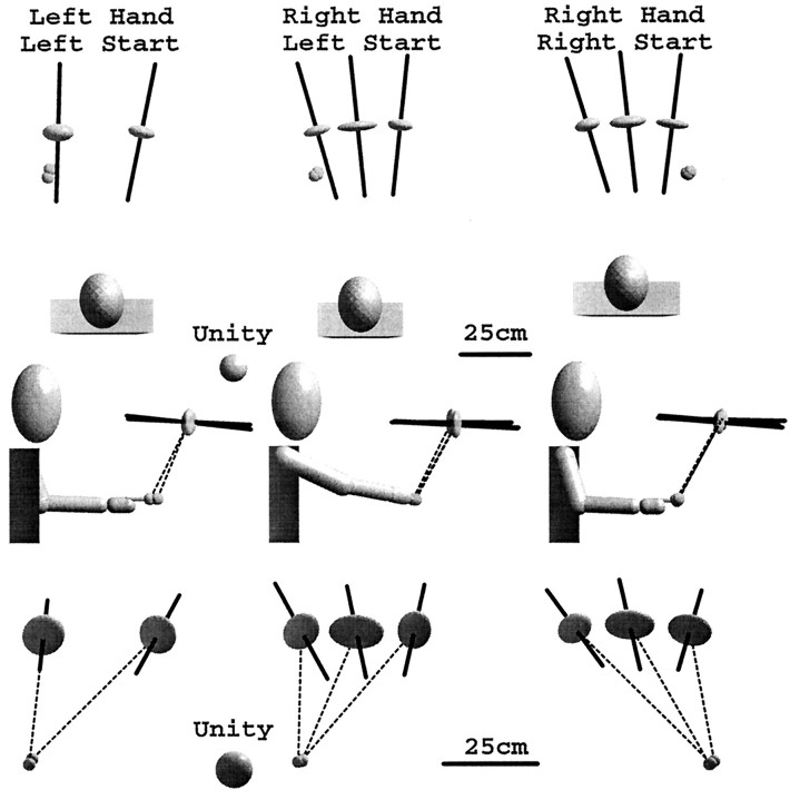 Fig. 8.