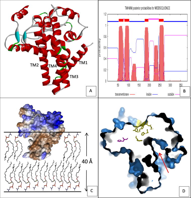 Fig. 6