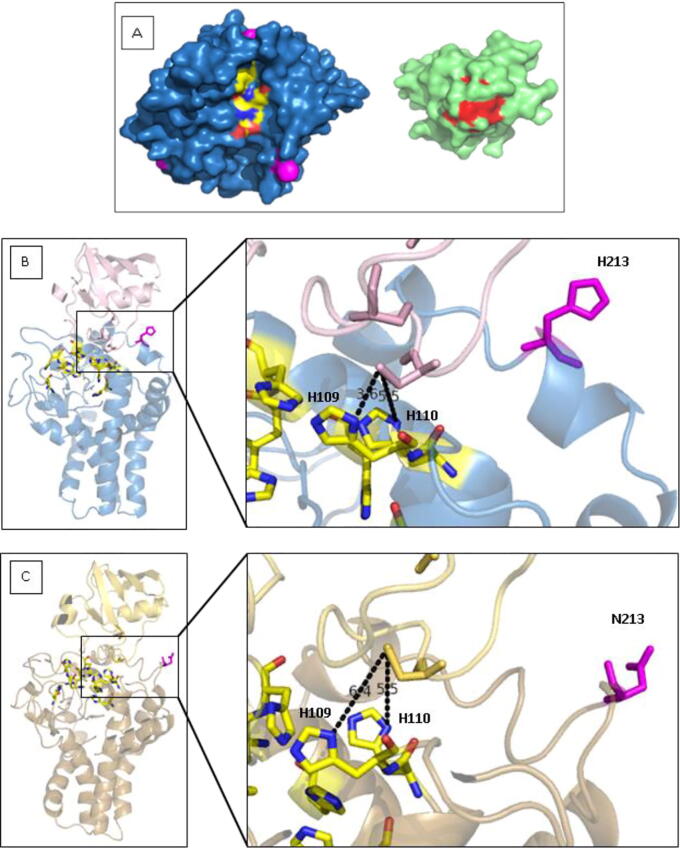 Fig. 8