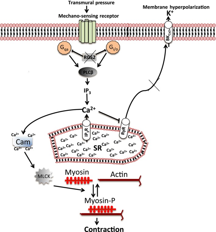 Figure 7