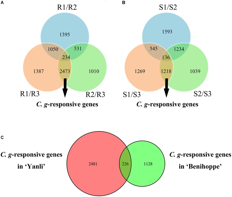 FIGURE 3