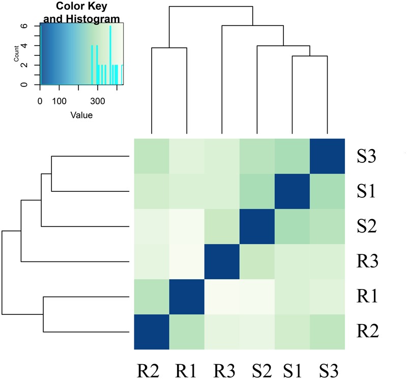 FIGURE 2