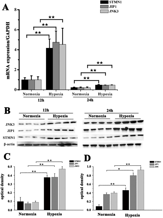 Fig. 3.