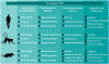 Figure 2 |