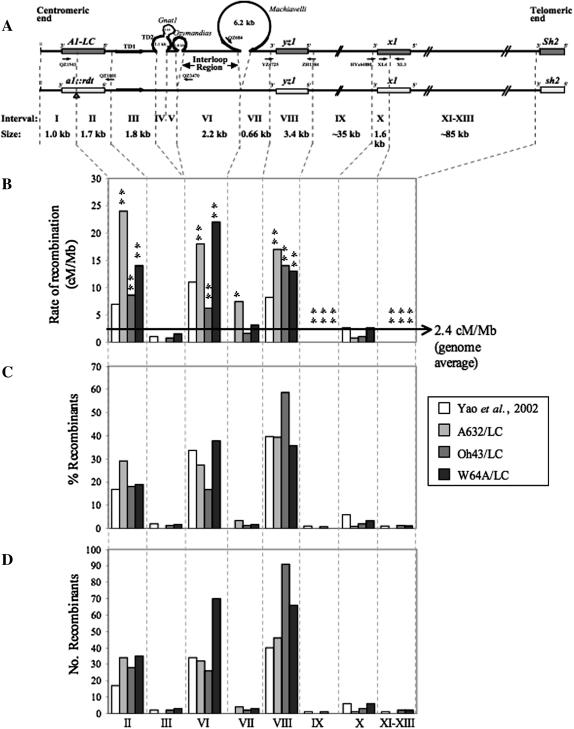 Figure 1.—