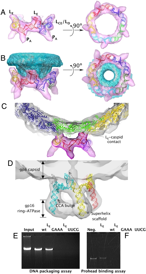 Fig. 3.