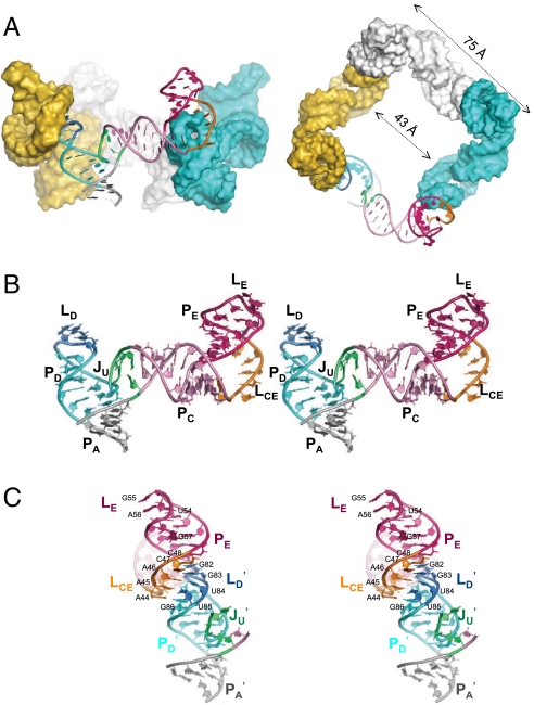 Fig. 2.