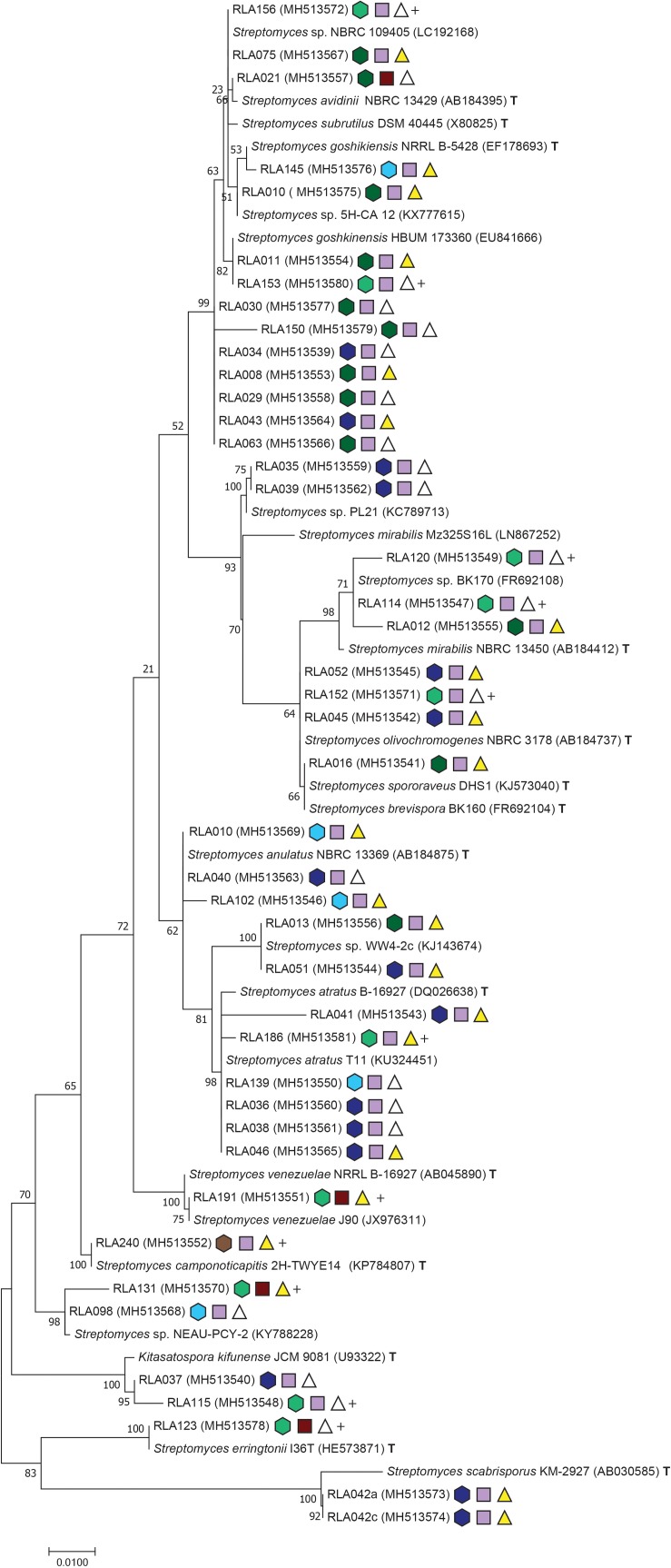 FIGURE 2