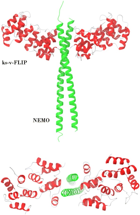 Fig. 2