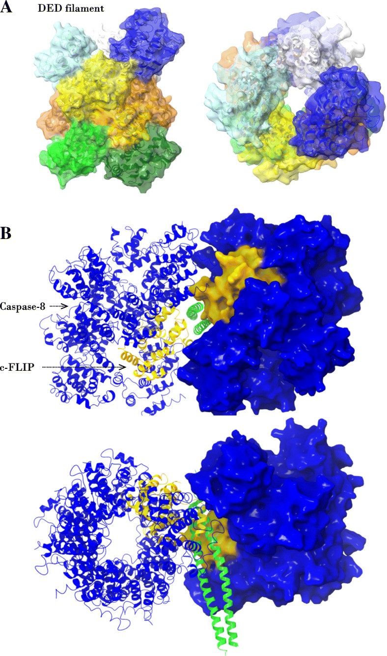 Fig. 4