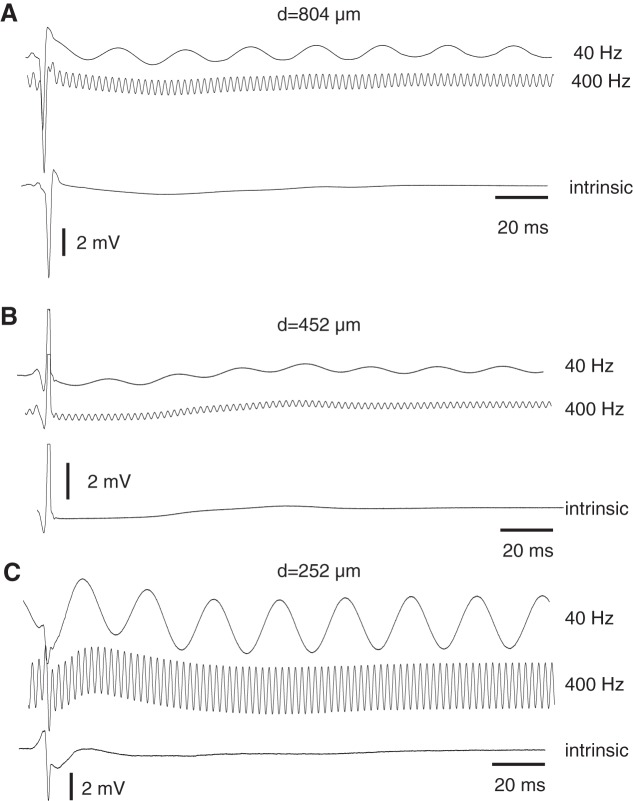 Fig. 5.