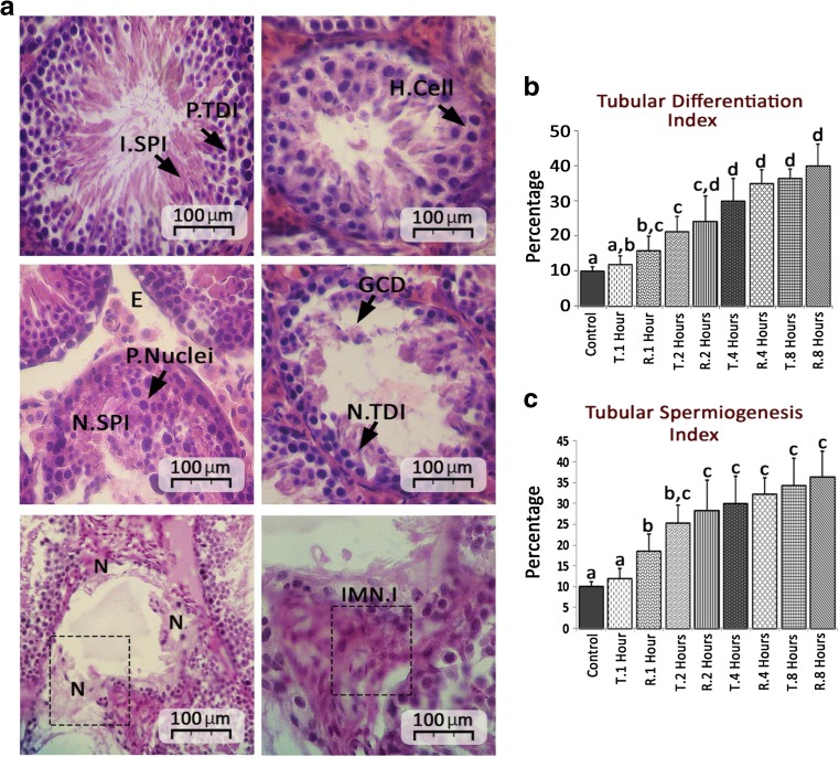 Fig.2