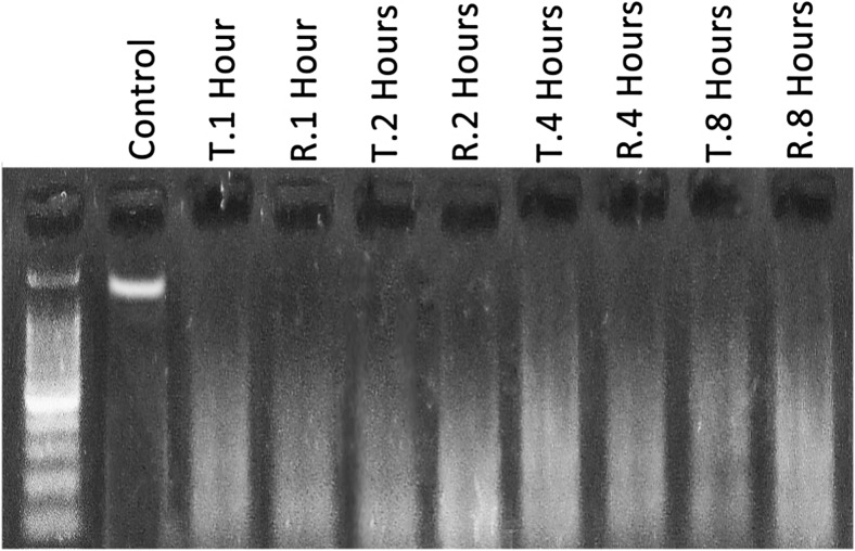 Fig. 7