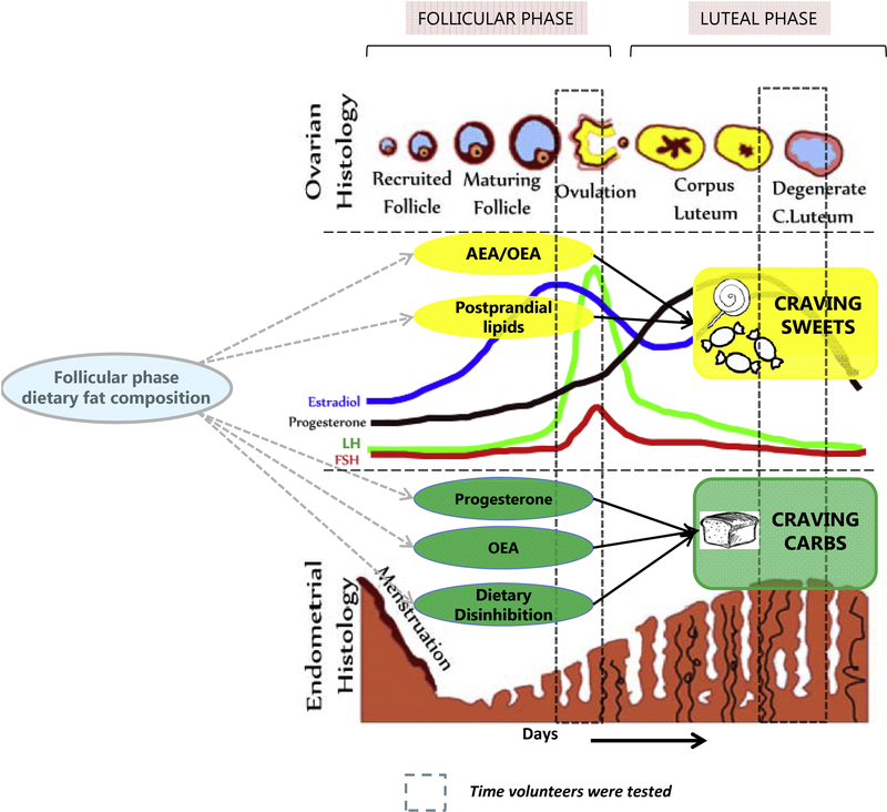 Figure 5: