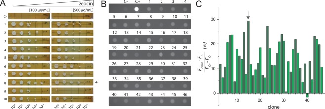 Figure 2