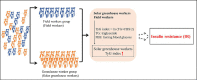 Graphical Abstract