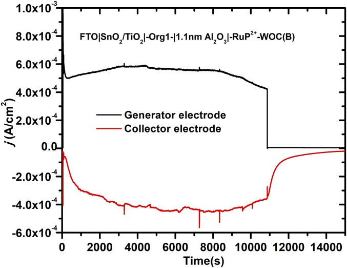 Fig. 8.