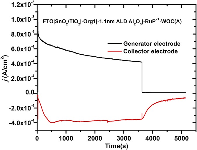 Fig. 6.