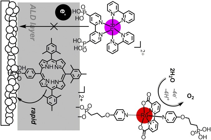 Fig. 9.