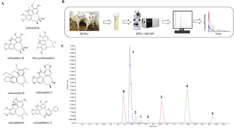 Fig. 1