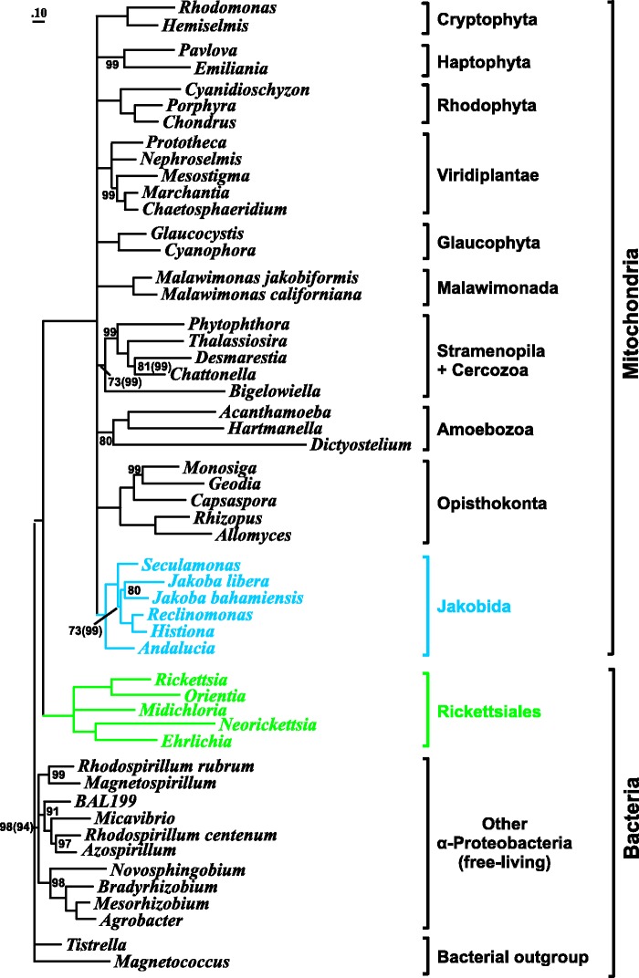 Fig. 5.—