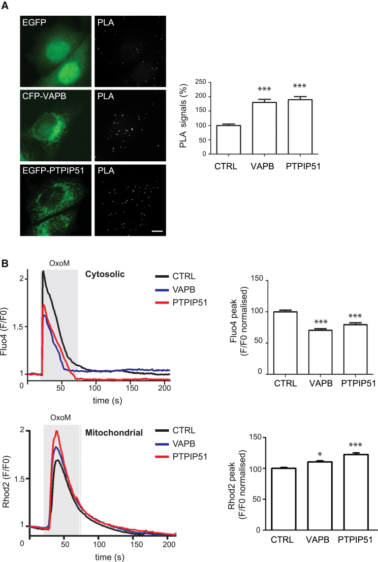 Figure 6