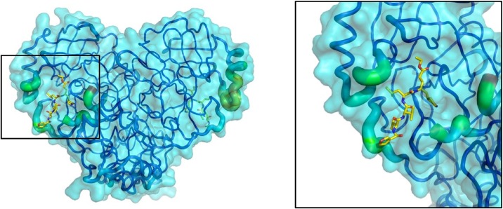 Fig. 2