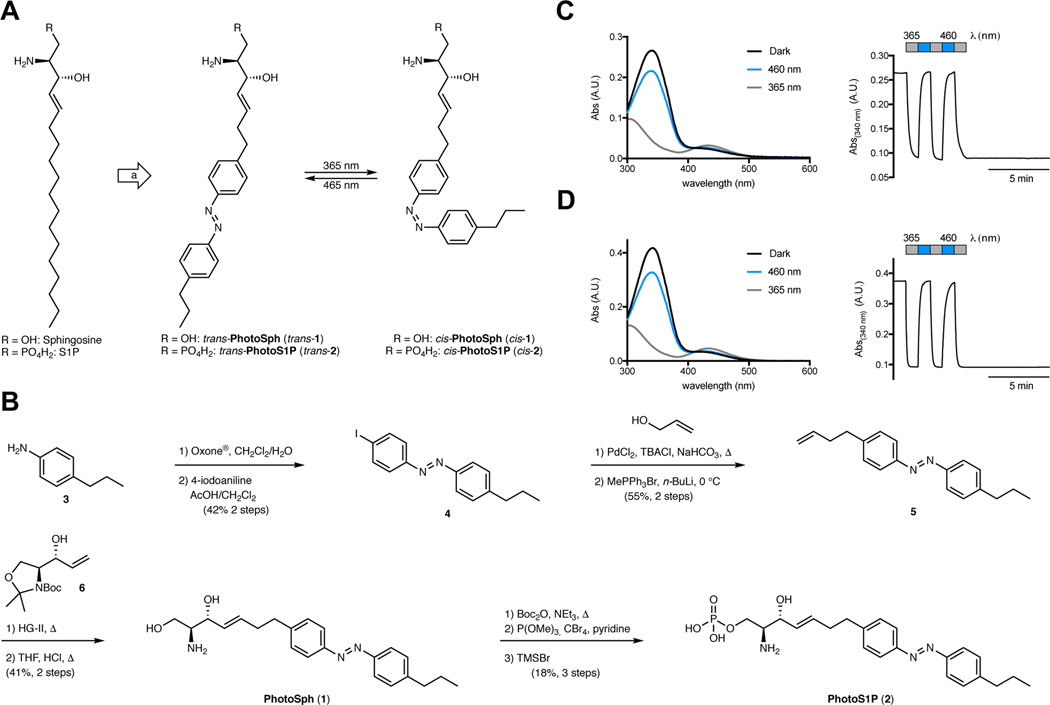 Figure 1 |