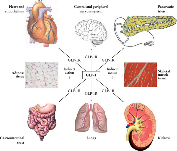 graphic file with name 13300_2011_2_Fig1_HTML.jpg