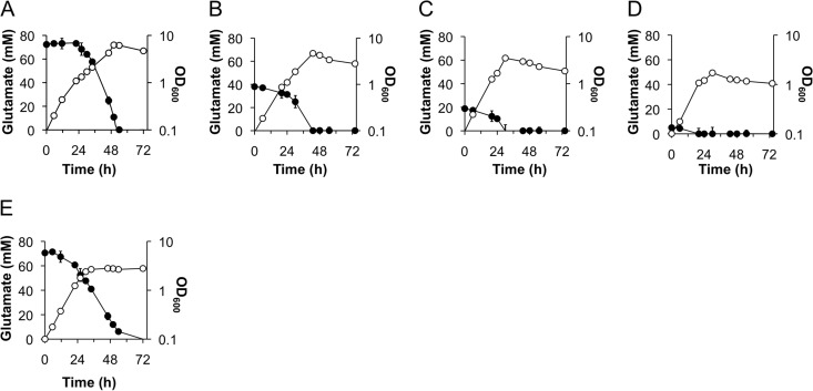 FIG 2