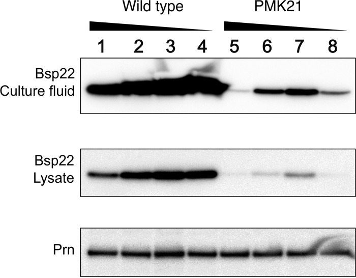 FIG 6