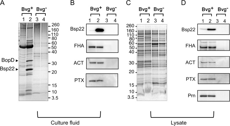 FIG 5