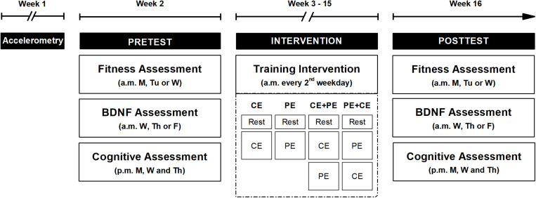 FIGURE 1