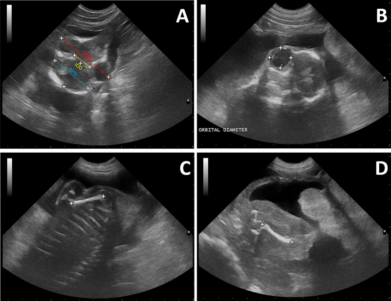 Figure 2: